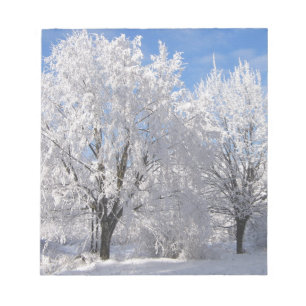 Bloc-note dans la neige, les arbres blancs en hiver