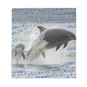Bloc-note Dauphins