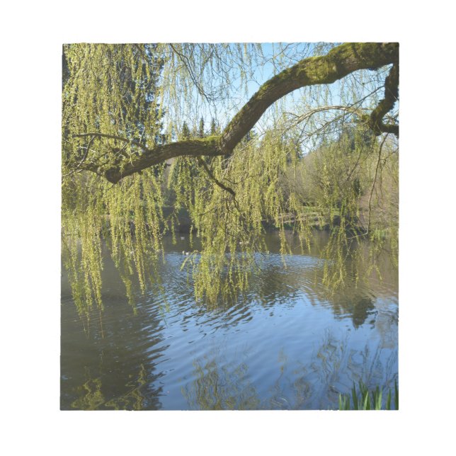 Bloc-note de beaux saules de printemps près de l'étang d'eau (Devant)