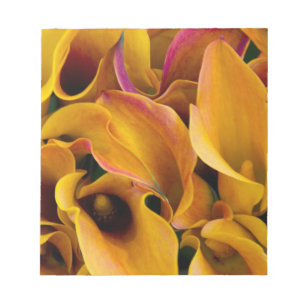 Bloc-note De brillantes callas colorés au