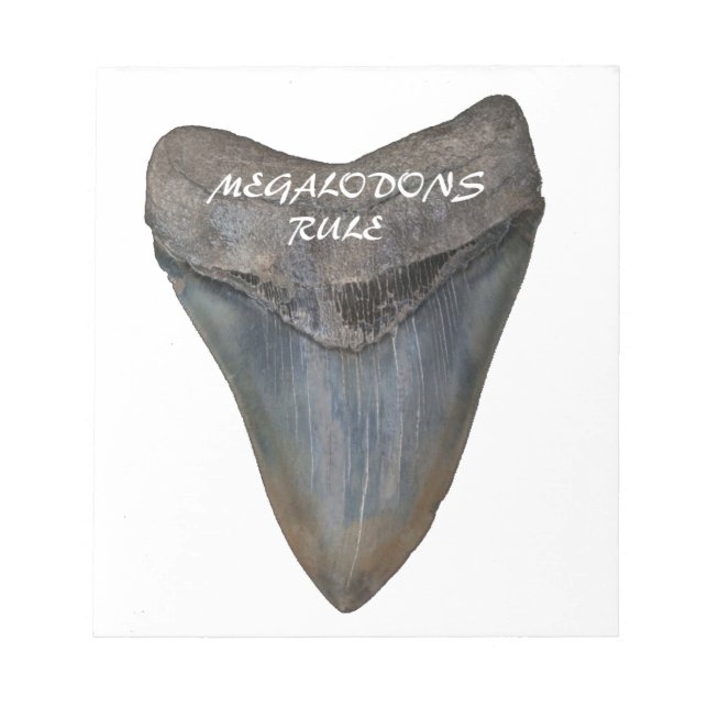 Bloc-note Dent de requin Megalodon (Devant)