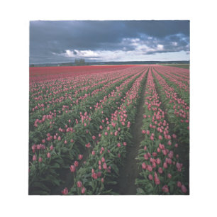 Bloc-note Des tulipes roses et rouges brillent sous un ciel