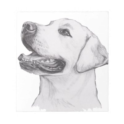 Tétine Dessin Classique De Profil De Chien De Labrador