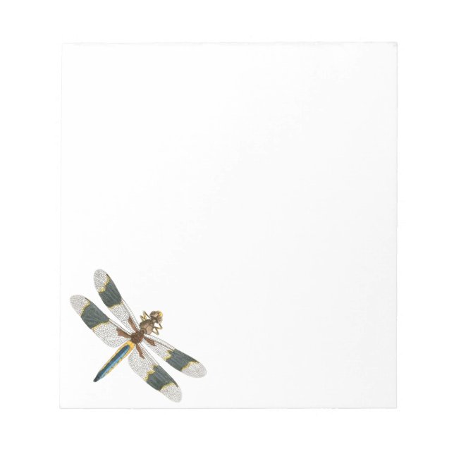 Bloc-note Dessin de libellules vintages dessin d'insectes an (Devant)