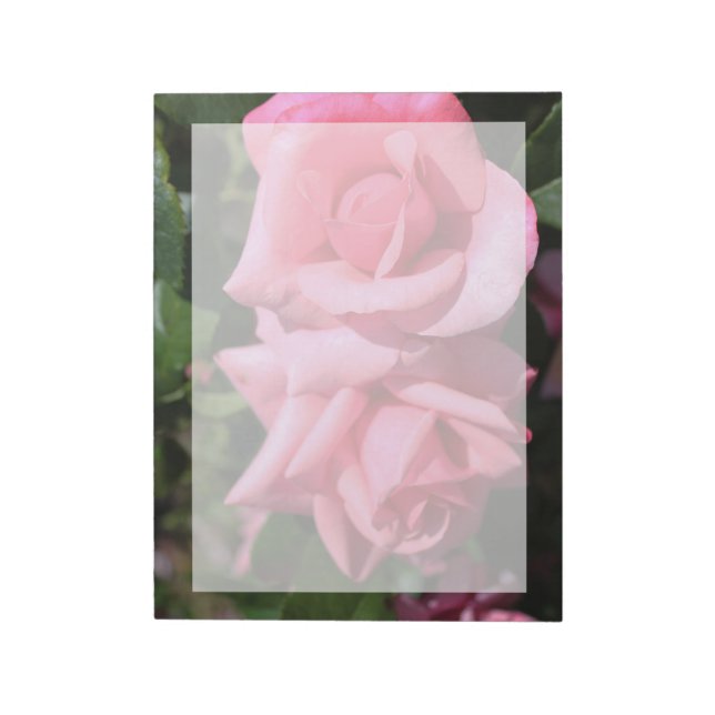 Bloc-note deux fleurs de rose rose chaud parfait. amour (Tourné)