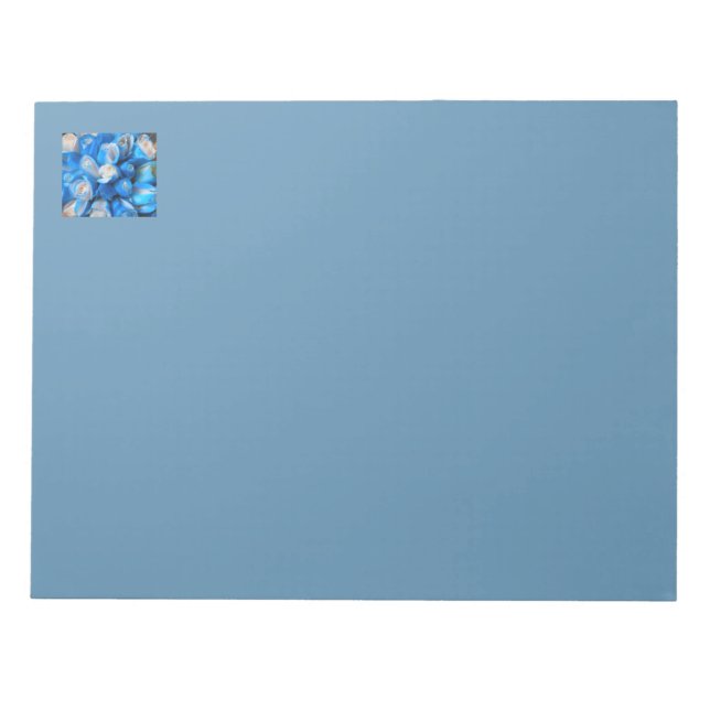 Bloc-note Diemudis (Devant)