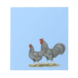 Bloc-note Dominique Chickens