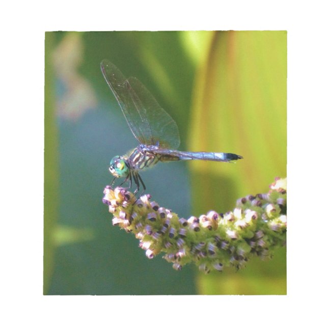 Bloc-note Dragonfly aux yeux turquoises (Devant)