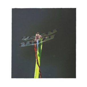 Bloc-note Dragonfly bleu et noir sur gazon vert et rouge