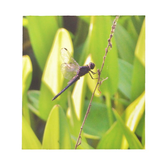 Bloc-note Dragonfly Blue et noir sur l'herbe. (Devant)