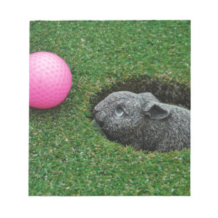 BLOC-NOTE DSCF0652.JPG