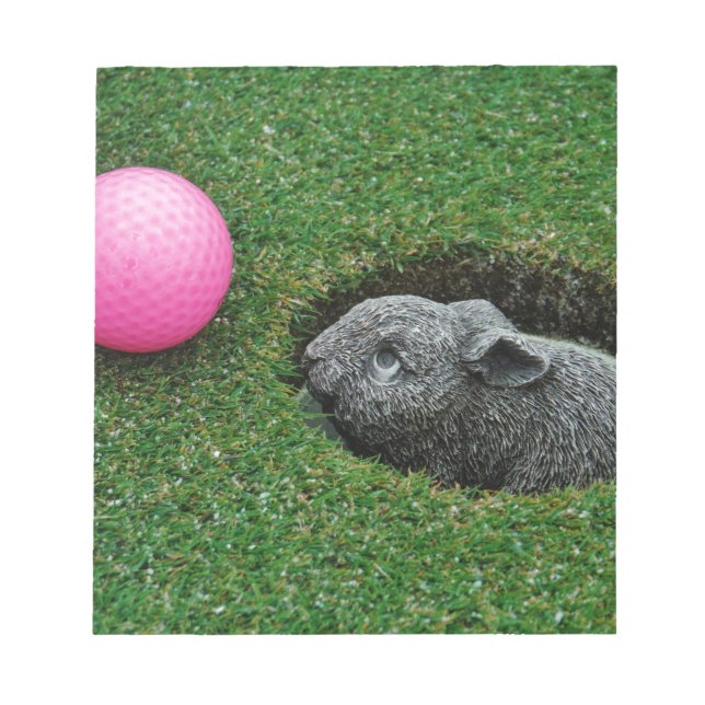 BLOC-NOTE DSCF0652.JPG (Devant)