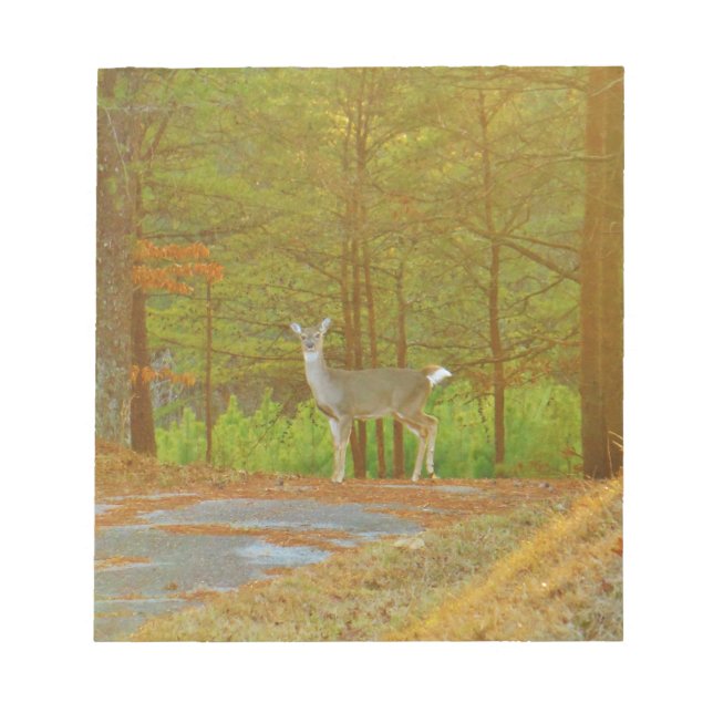 BLOC-NOTE DSCF4041.JPG (Devant)