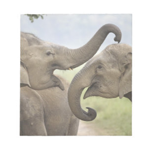 Bloc-note Éléphants asiatiques indiens s'amusent à se battre