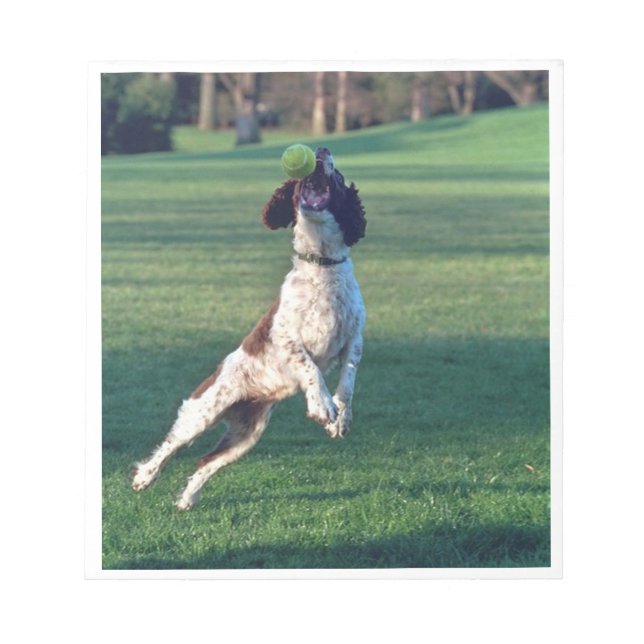Bloc-note english springer attrapant une balle.png (Devant)