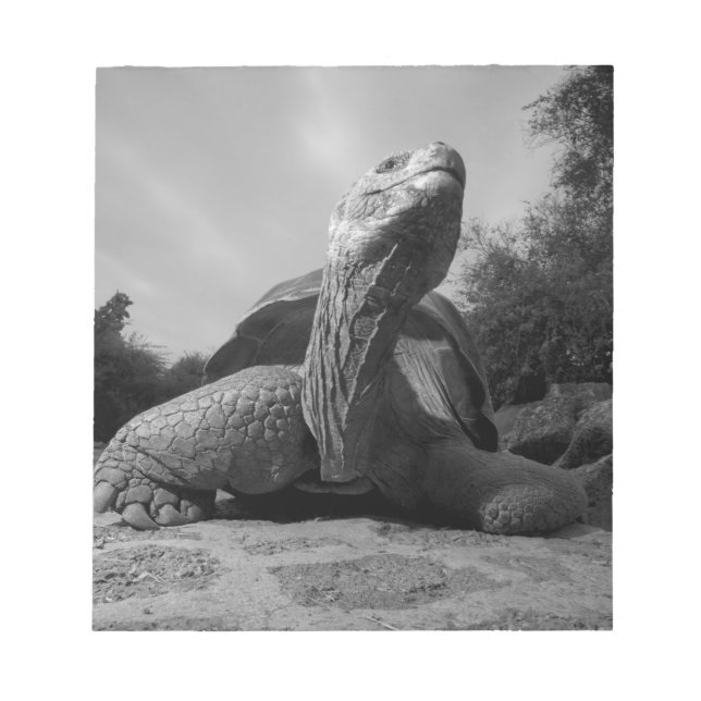 Bloc-note Équateur, Parc national des îles Galapagos, Santa (Devant)