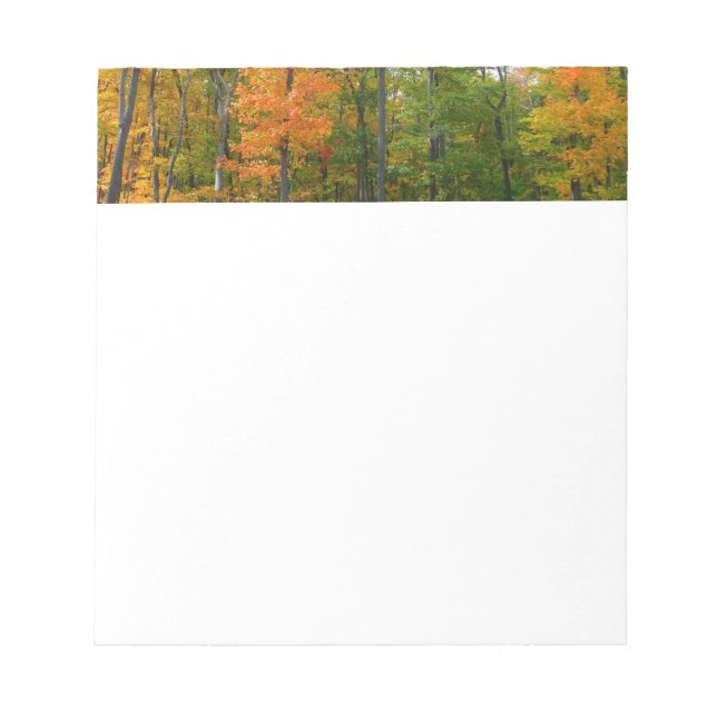 Bloc-note Érables en automne Photographie de la nature (Devant)