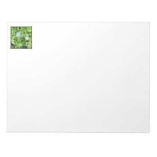 Bloc-note Espoir 11 x 8,5