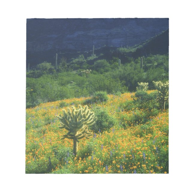 Bloc-note États-Unis, Arizona, Monument national du cactus o (Devant)