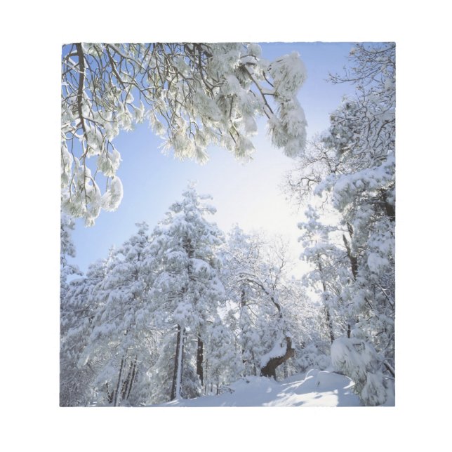 Bloc-note États-Unis, Californie, Cleveland National Forest, (Devant)