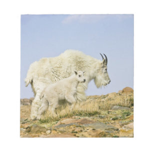 Bloc-note États-Unis, Colorado, Montagnes Rocheuses, mont Ev