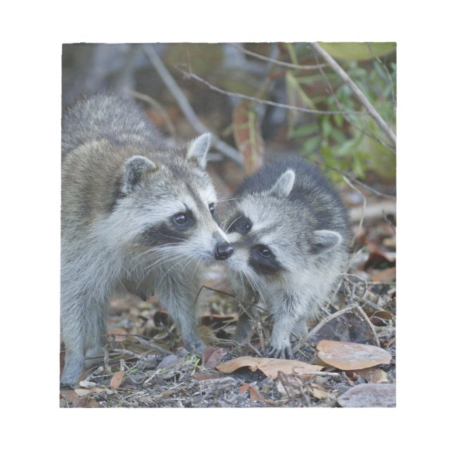 Bloc-note États-Unis, Floride, Sanibel, Ding Darling Nationa (Devant)