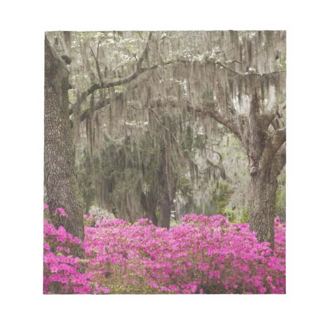 Bloc-note États-Unis, Géorgie, Savannah, Printemps à l'histo (Devant)