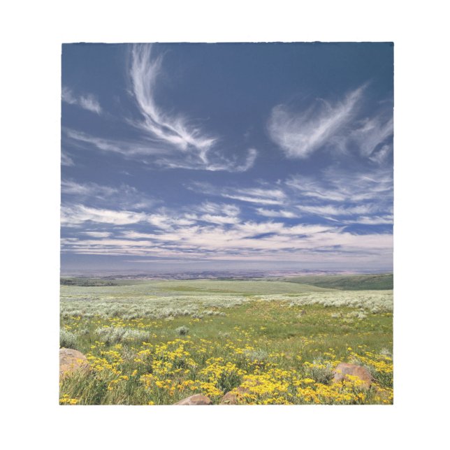 Bloc-note États-Unis, Oregon, Steens Mountain. Le printemps  (Devant)