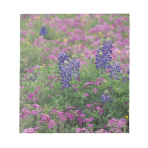 Bloc-note États-Unis, Texas Hill Country. Bleuets parmi les