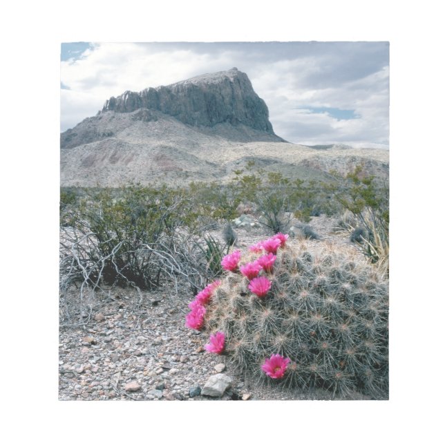 Bloc-note États-Unis, Texas, Parc national de Big Bend. Flor (Devant)