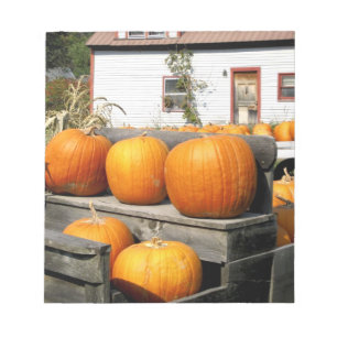 Bloc-note États-Unis, Vermont.Citrouilles