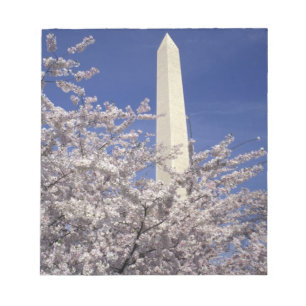 Bloc-note États-Unis, Washington DC. Festival Cherry Blossom