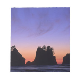 Bloc-note États-Unis, Washington, Parc national olympique, 