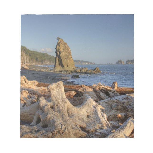 Bloc-note États-Unis, Washington, Parc national Olympique, R (Devant)