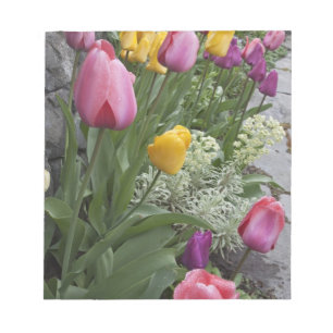 Bloc-note États-Unis, Washington, Seabeck. Des tulipes borde