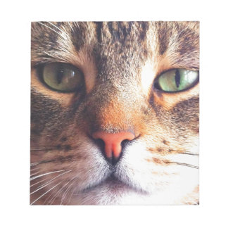 Bloc-note Face de chat