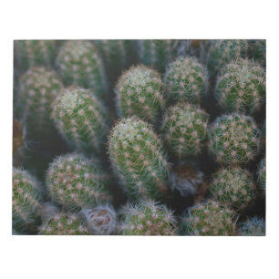 Bloc-note Famille Cactus