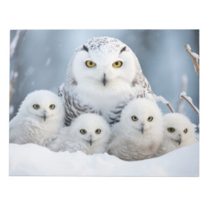 Bloc-note Famille d'animaux de hibou errant la nature