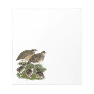 Bloc-note Famille de cailles Coturnix