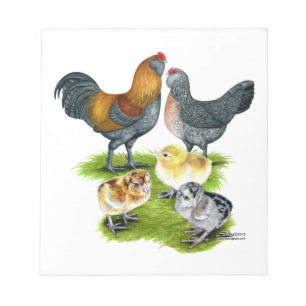 Bloc-note Famille de poules Ameraucana