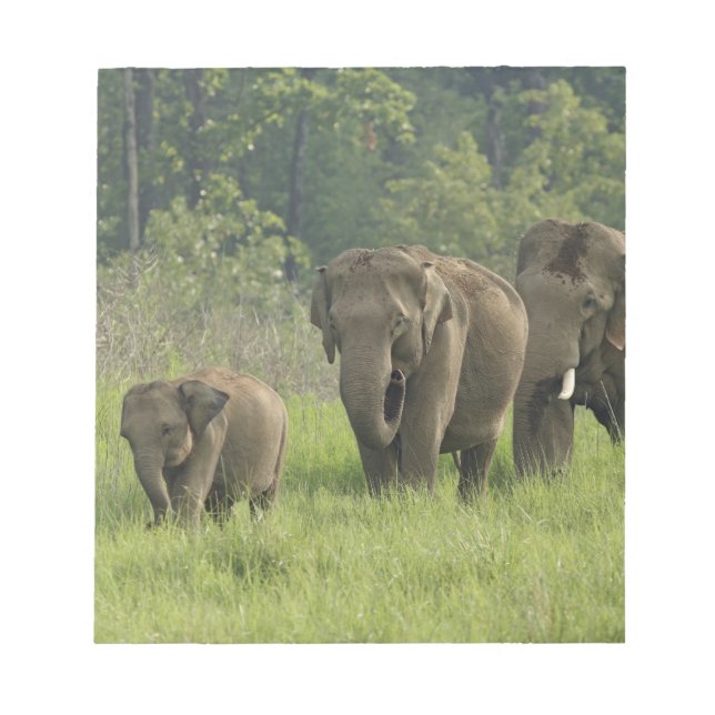 Bloc-note Famille d'éléphants indiens (Devant)