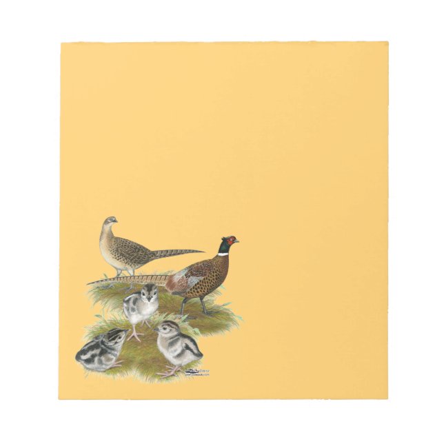 Bloc-note Famille Pheasant Ringneck (Devant)