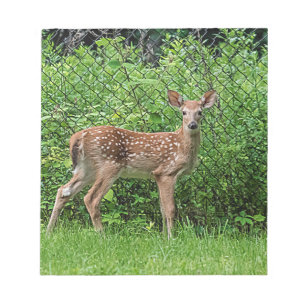 Bloc-note Faune devant une clôture