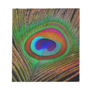 Bloc-note Feather Vibrant Copper