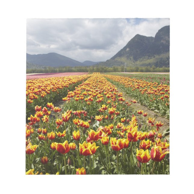 Bloc-note Ferme de tulipes près d'Agassiz, Colombie-Britanni (Devant)
