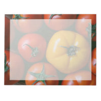 Fermes | Tomates rouges et jaunes brillantes