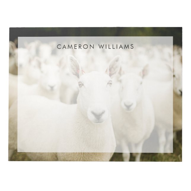 Bloc-note Fermes | Troupeau de moutons (Devant)