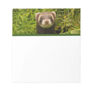 Bloc-note Ferret Brown dans l'herbe