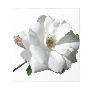 Bloc-note Fête de Mariage Fleurs de Rosée Blanche Destinée