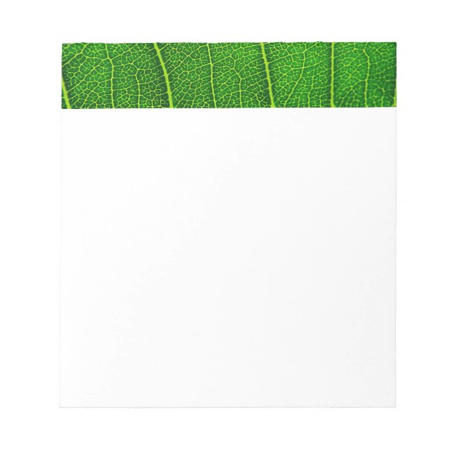 Bloc-note Feuille d'arbre vert (Devant)